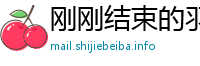 刚刚结束的羽毛球比赛结果